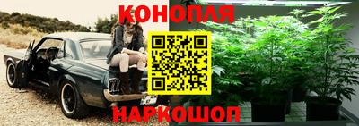 мяу мяу мука Малоярославец